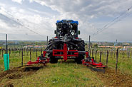 Inter-vine rotary harrow