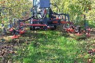 Rotary harrow for arboriculture